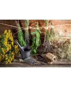 Czym jest medycyna niekonwencjonalna?